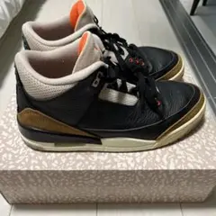 NIKE Air Jordan 3 26.5センチ