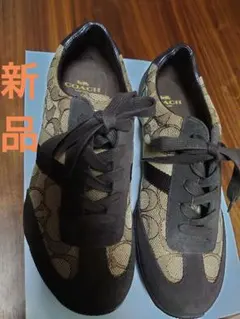 Item thumbnail for item a9196915-9ed4-4d12-a7a6-9df5c8ae1627