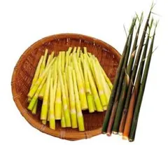 中国雲南省文山産 天麻 500g（農家自作） - メルカリ 中国雲南省文山産 天麻 500g（農家自作）