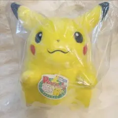 ポケモン30周年記念おかえり!ピカチュウ1/1