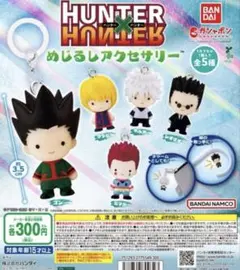 HUNTER×HUNTER めじるしアクセサリー 全5種セット コンプリート