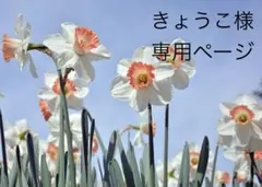 きょうこ様専用