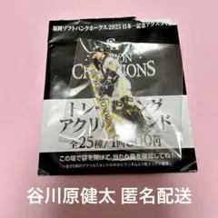 みー様 リクエスト 2点 まとめ商品