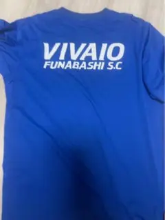 VIVAIO
