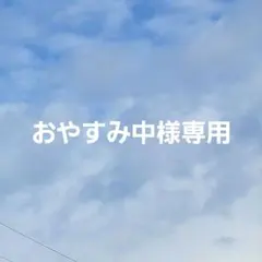 おやすみ中様専用