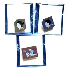 鬼滅の刃　キャラクターモチーフピンズ　素流