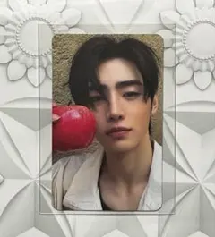 THE SIN : VANISH FUGITIVES Ver. 성훈 トレカ