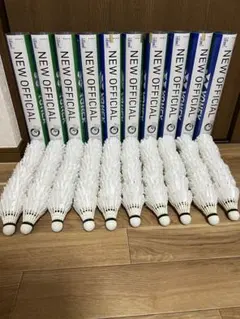 【中古・ノック球】NEW OFFICIAL 216球＋GX-I 12球のサムネイル