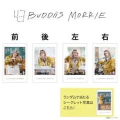 2026年最新】#morrieの人気アイテム - メルカリ