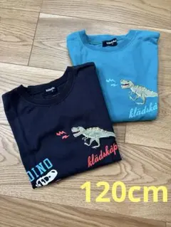 klädskåp 恐竜プリント 120㎝　2枚セット