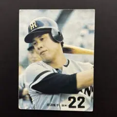 カルビープロ野球カード1973年版NO.203阪神タイガース田淵幸一選手