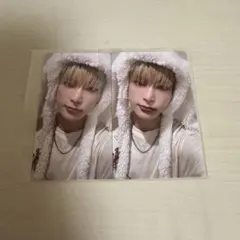 &TEAM 雪明かり ふわふわアニマルトレカ HARUA ハルア 2枚セット