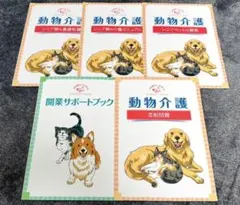 Item thumbnail for item 0c66dc9a-cb8b-4497-9176-5b2182f258c3