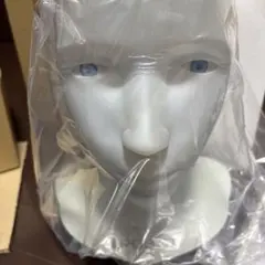 2026年最新】アイロボット サニーの人気アイテム - メルカリ