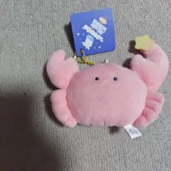 つぶらな瞳の星座　かに　マスコットボールチェーン　ぬいぐるみのサムネイル