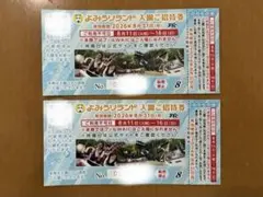 【翌日発送】よみうりランド 入園ご招待券乗り物券付き 2枚セットのサムネイル