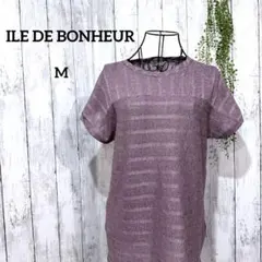 Item thumbnail for item 875f1556-a4c6-4fc7-bb16-3646566d0806