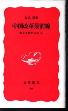 中国改革最前線　岩波新書　天児慧　微やけ　微しみ