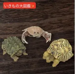 BANDAI ガシャポン いきもの大図鑑 3種セット まとめ売り