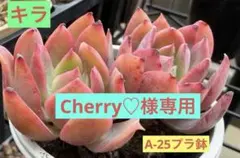 Cherry♡様 リクエスト 2点 まとめ商品