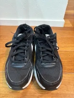 Nike Air ブラック スニーカー