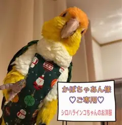 Item thumbnail for item 22420ca8-6331-4186-a86b-61a31efe3e7b