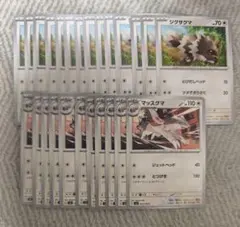 ジグザグマ マッスグマ