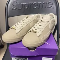 NIKE SB Zoom Blazer Low QS FPAR 29cm