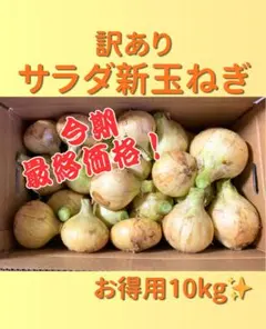 【最終価格！】淡路島 新玉ねぎ 訳あり10kg 甘い！農家直送のサムネイル
