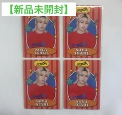 猪狩蒼弥 プロフィールカード