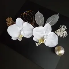 【感謝価格】髪飾り❤胡蝶蘭　成人式・結婚式・前撮り・卒業式ヘッドドレス