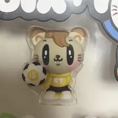 GENERATIONS 片寄涼太　6IX PIECE アルバム　ジェ猫