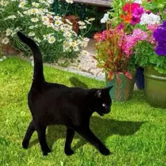 歩く 黒猫　庭　ガーデン　装飾　オブジェ　猫　ネコ　ねこ　装飾　かわいい