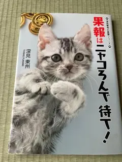 【書籍】果報はニャコろんで待て！