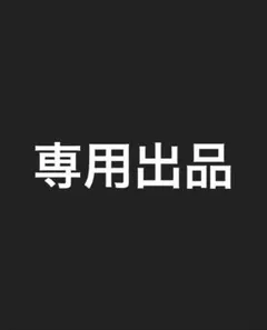 専用出品　4062