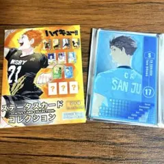 ハイキュー!! ステータスカードコレクション 及川徹