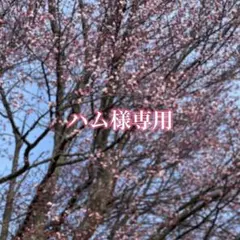 シルバー925 ウォレットチェーン