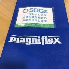 magniflex SDGs 袋　バイオシェイプピロー