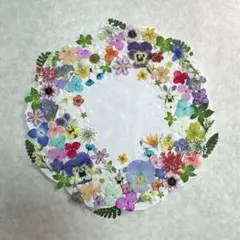 【2.5cm以内】押し花セット 春色ミニビオラ＆小花 （商品番号 101）