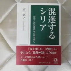 混迷するシリア 青山弘之 岩波書店