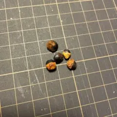 mk様 リクエスト 3点 まとめ商品