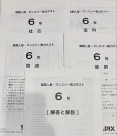 2026年最新】サピックステストの人気アイテム - メルカリ