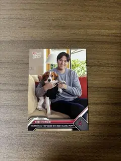 大谷翔平 2023 Topps NOW MVP受賞記念カード・大谷選手とデコピン