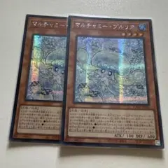 アジア版　マルチャミー プルリア シークレット　亜シク