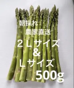 朝採れ　農家直送　アスパラ　アスパラガス　500gのサムネイル