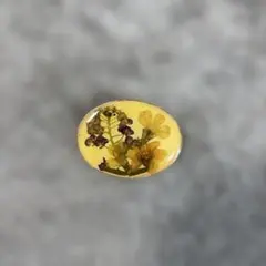 amapola Mijas 押し花ブローチのサムネイル