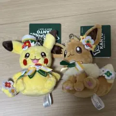 ポケパーク カントー ピカチュウ イーブイ 2体セット ぬいぐるみ 新品
