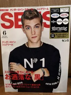SENSE 2016年 12月号 テンダーロイン Supreme 雑誌 - メルカリ