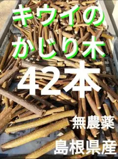 キウイのかじり木 ハムスター うさぎ うさぎ餌 かじり木 枝 数量限定 小動物のサムネイル