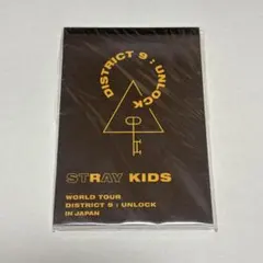 StrayKids Unlock 쿠지 메모장